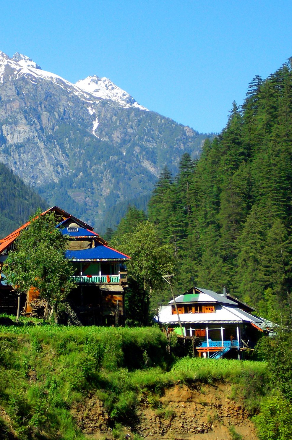 Nature and local life at an eco-village – Saffer Guru