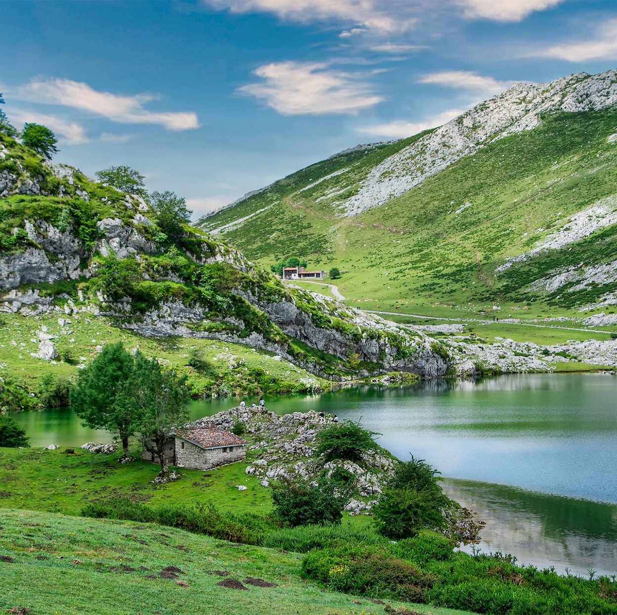 Panoramic view of Swat Valley, showcasing lush green meadows, rivers, and snow-capped mountains