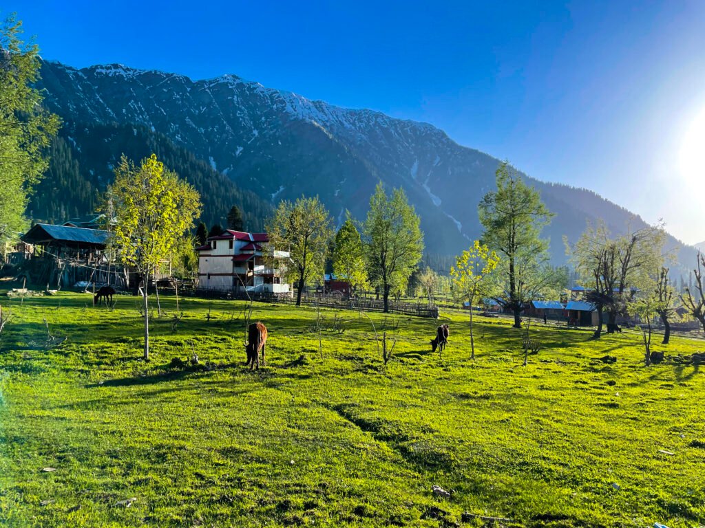Scenic view of Kumrat Valley with lush green meadows, rivers, and traditional villages